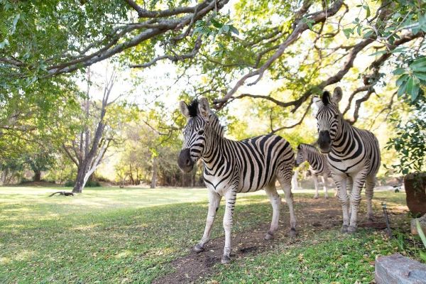 Blyde River Canyon Lodge (Hoedspruit)